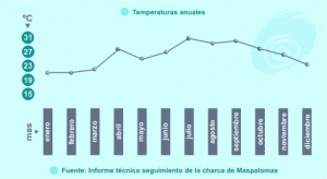 La temperatura particolare delle isole canarie